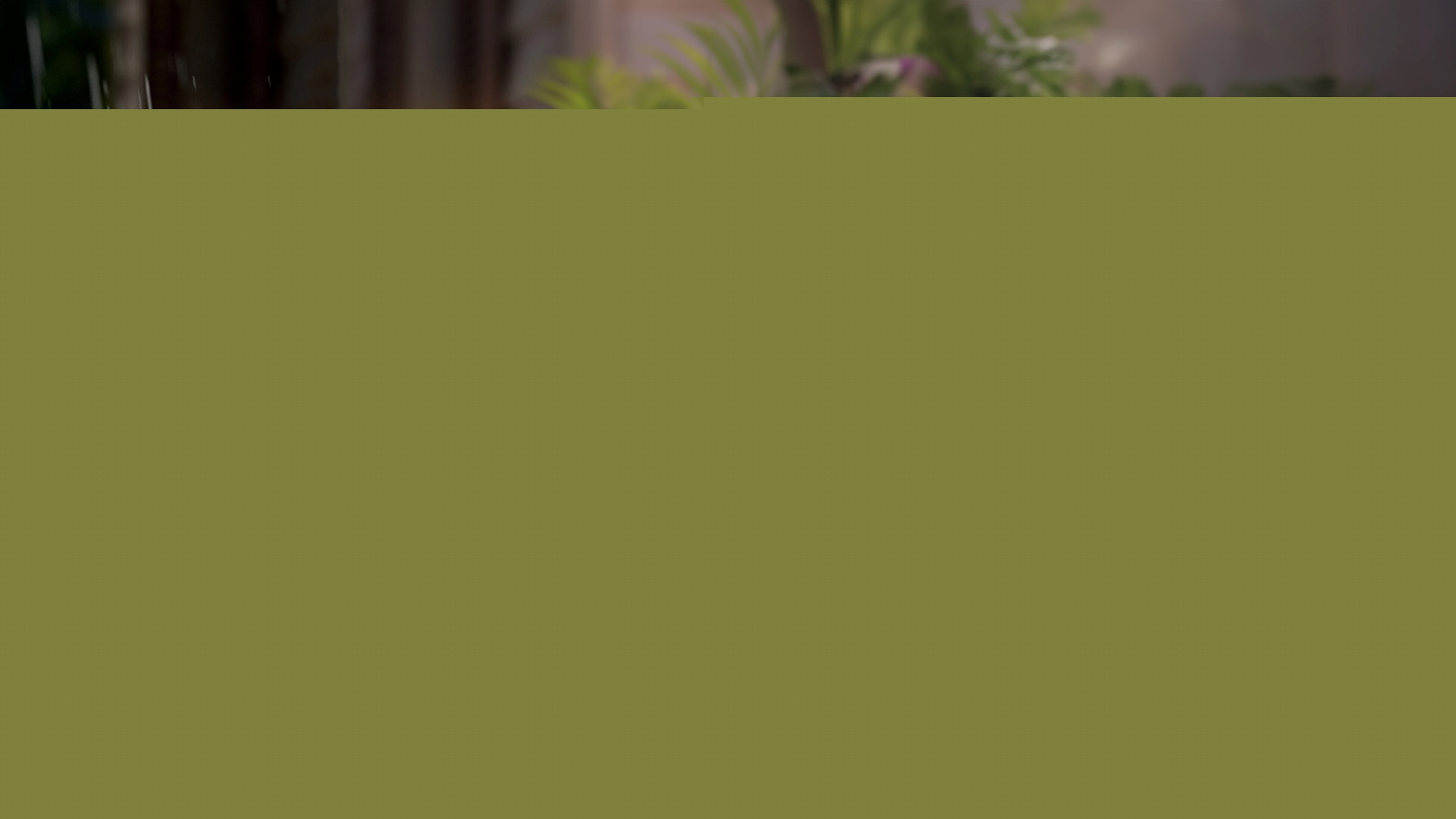 Akzo Nobel and Signify: Working together for more durable outdoor lighting
