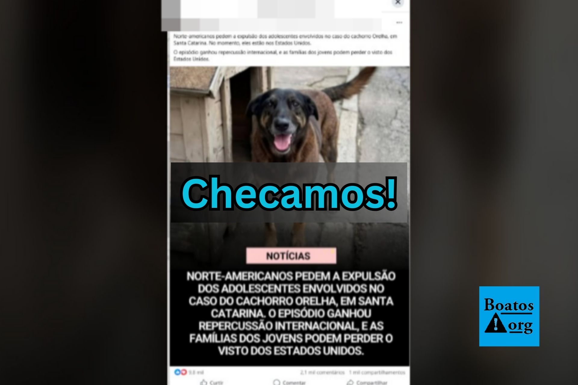 É falso que adolescentes do caso cachorro Orelha serão expulsos dos EUA