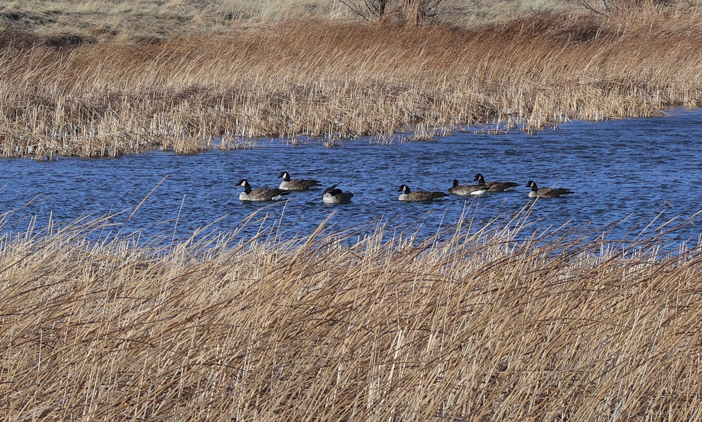 Mild conditions ahead in Casper area as weekend approaches