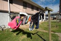 Two U.S. senators calling for answers regarding Alexander County Housing Authority