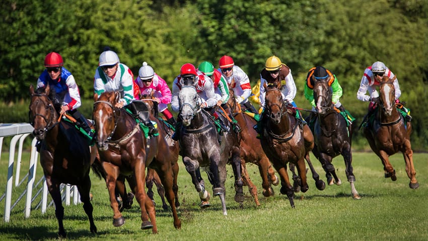 Best Betting Sites Ireland 2026: Top Sportsbooks Compete for Irish Bettors