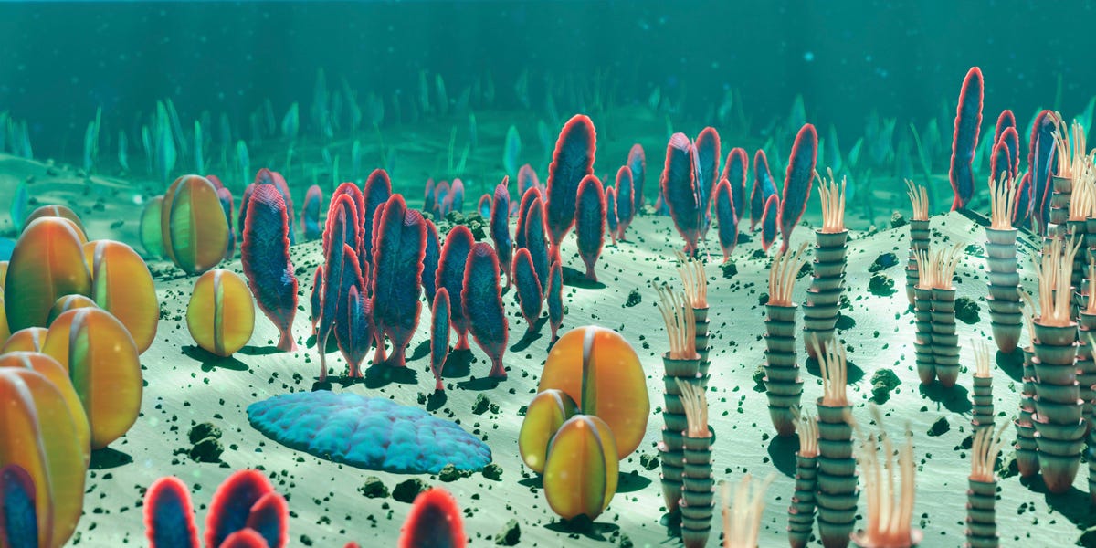 These Bizarre Fossils Have Baffled Scientists for Years. Now, Experts Have Cracked the Case.