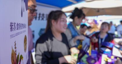 CHINA-FARMERS' HARVEST FESTIVAL (CN)