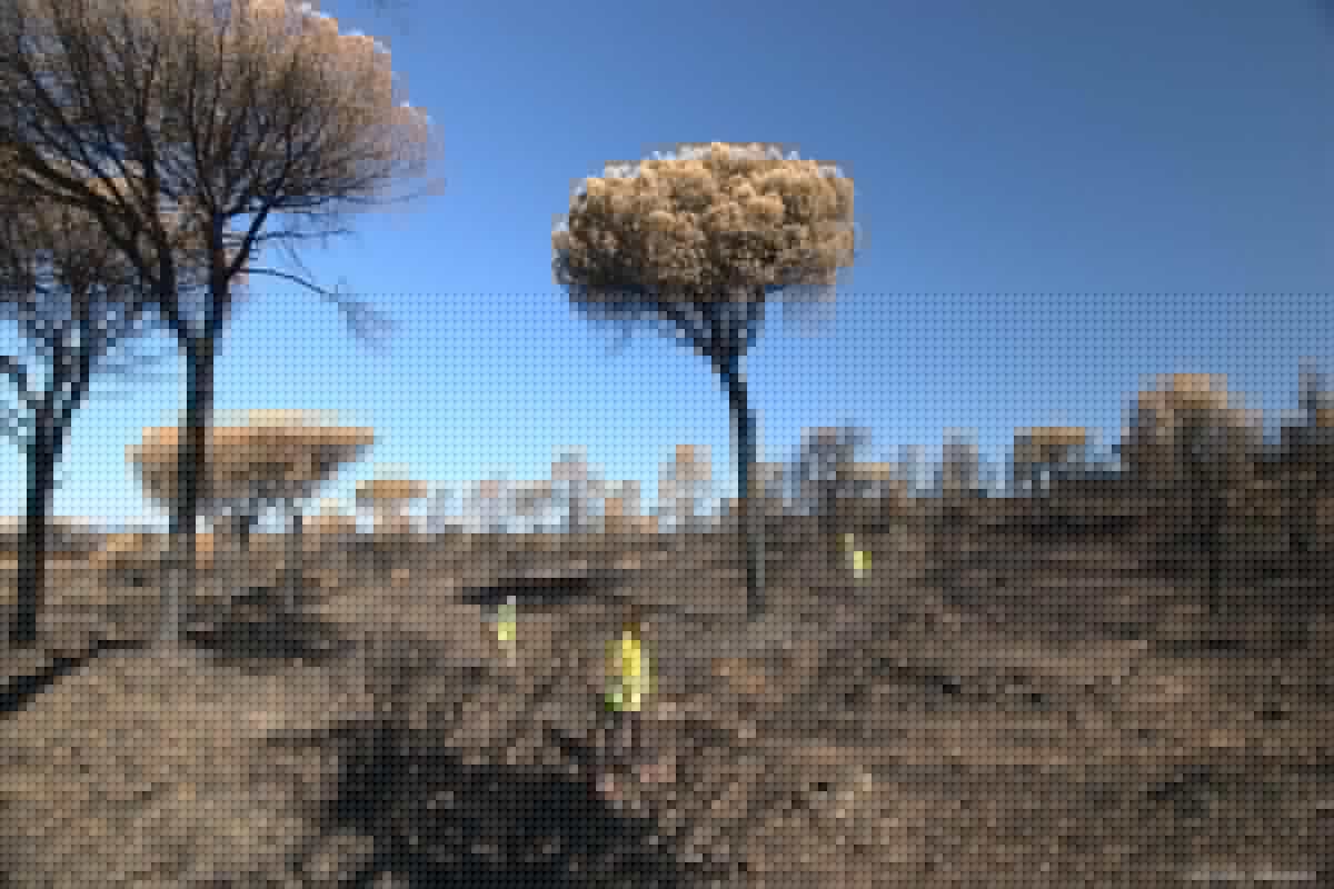 Incendies dans le Var : une association lance un appel aux dons pour financer un véhicule d’intervention d’urgence et porter secours à la faune sauvage