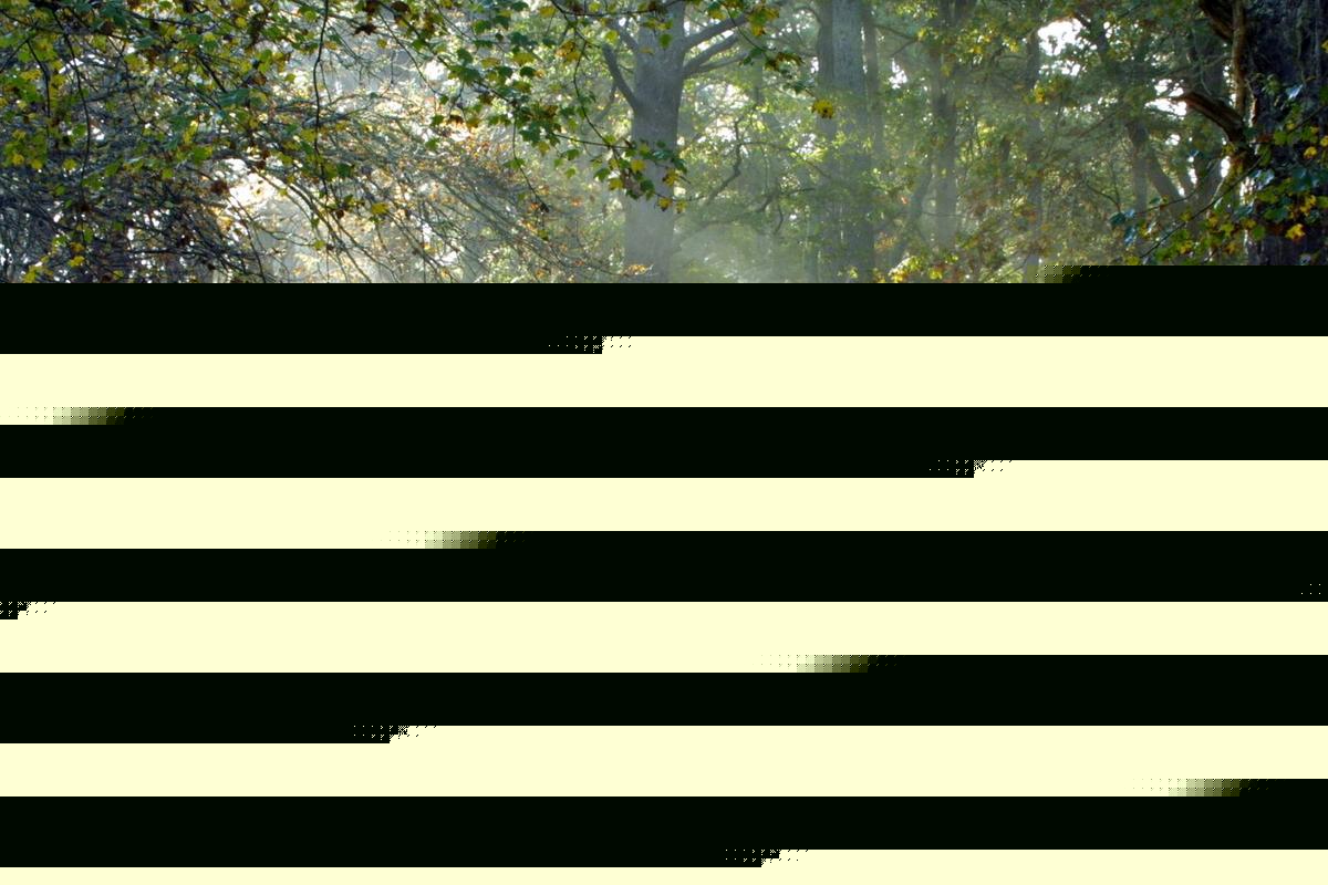 Extras Needed For Netflix Series Filming in Adirondacks