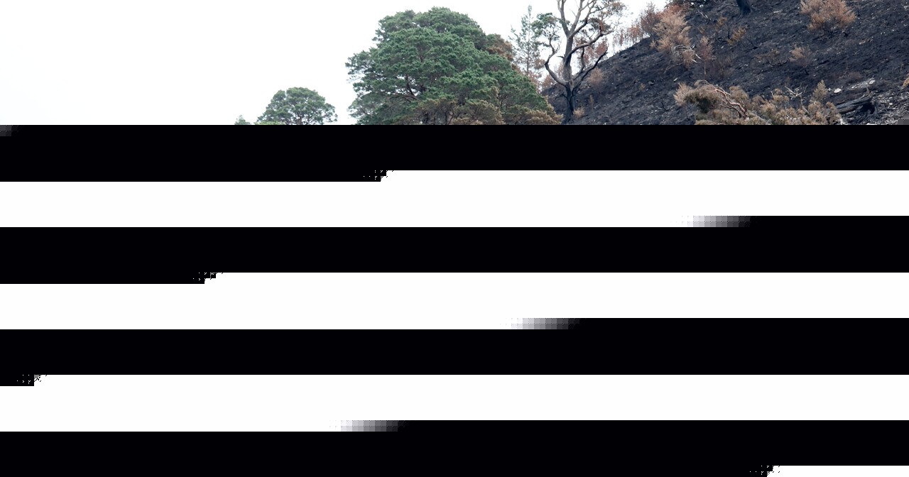 Plans for staged re-opening of wildfire cordons being finalised