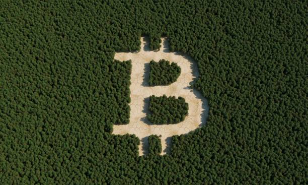 Bitcoin Under Price Pressure: (BTC/USD) Fails to Hold $88000 Level. Is a Recovery on the Way?