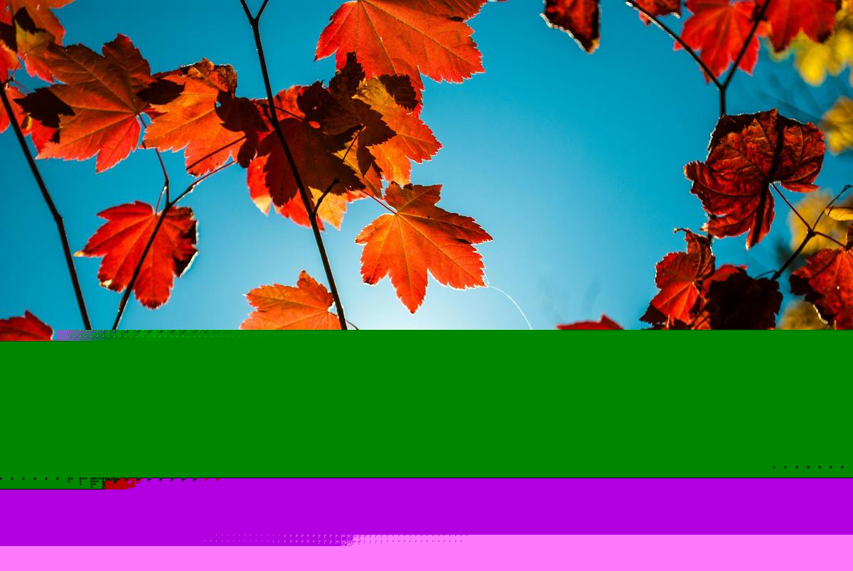 Farmer’s Almanac Says Missouri’s Fall Will Be Different