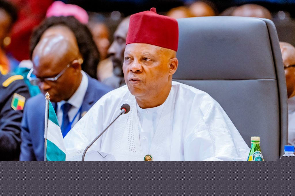 Shettima: We must praise President Tinubu for establishing regional development commissions
