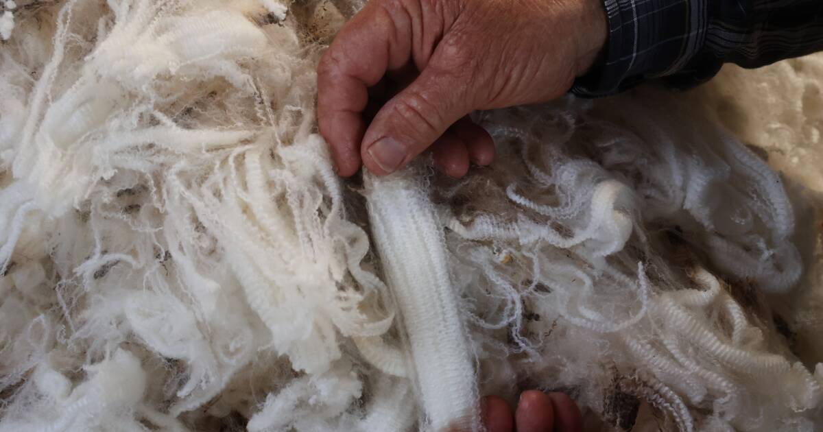 Australian wool industry has a chance to rewrite its history books in 2026