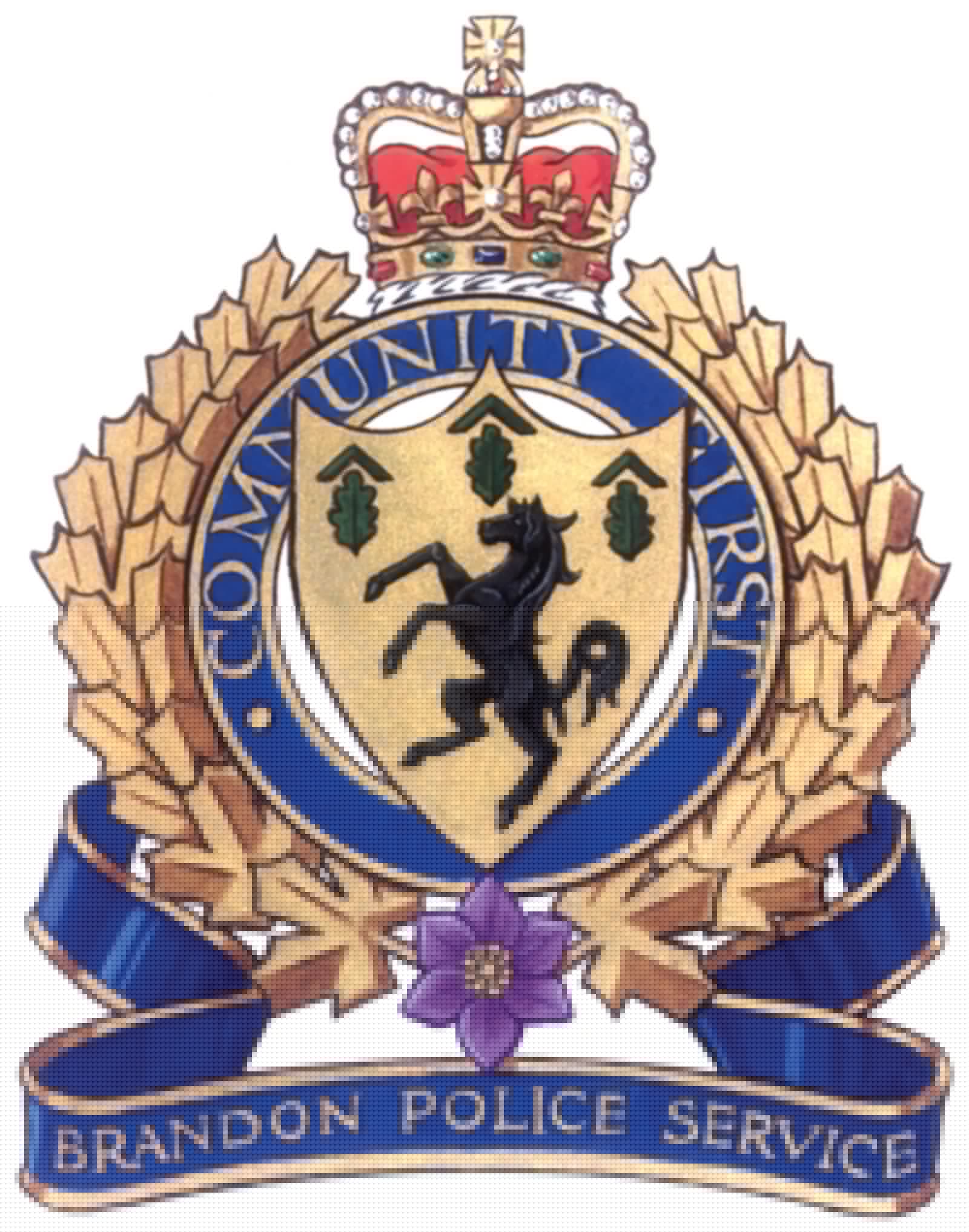 Hatchback stolen; school break-in; Good Samaritan stabbed