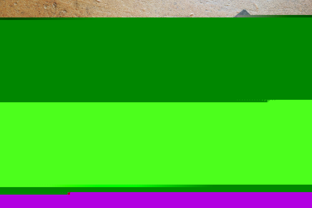 Scholarship Golf Classic on August 24, 2026