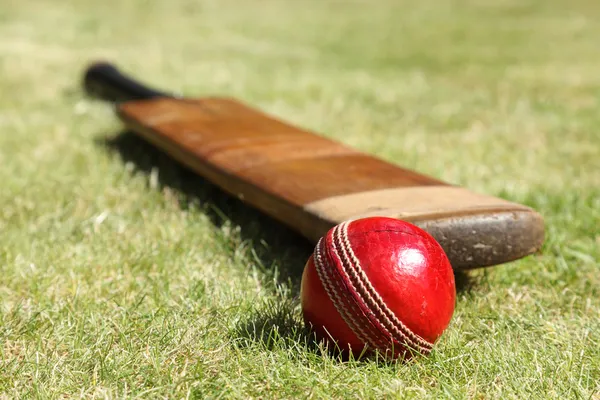 Why Is Fairplay Becoming Popular Among Sports Fans?