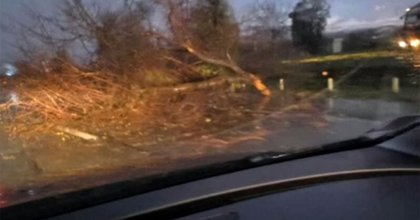 Haos na auto-putu kod Kovilja: Grom udario u stablo, drvo završilo na kolovozu, stvaraju se zastoji