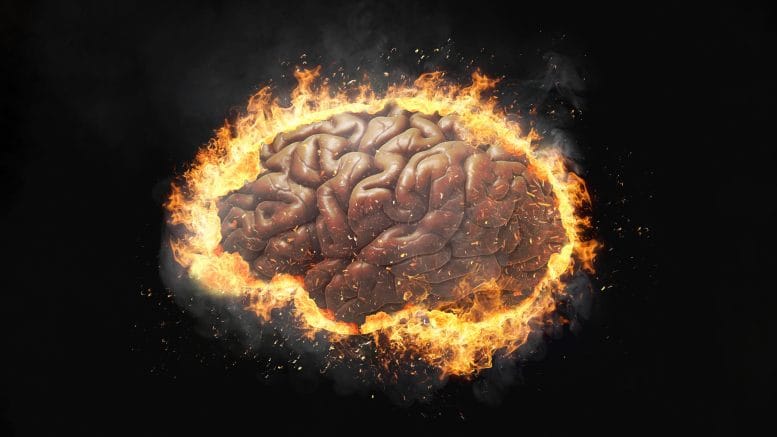 Estudo associa distúrbios cerebrais ao envelhecimento acelerado do cérebro