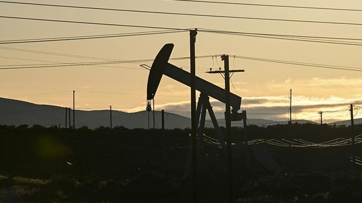 Petrol ithalatı yükseldi