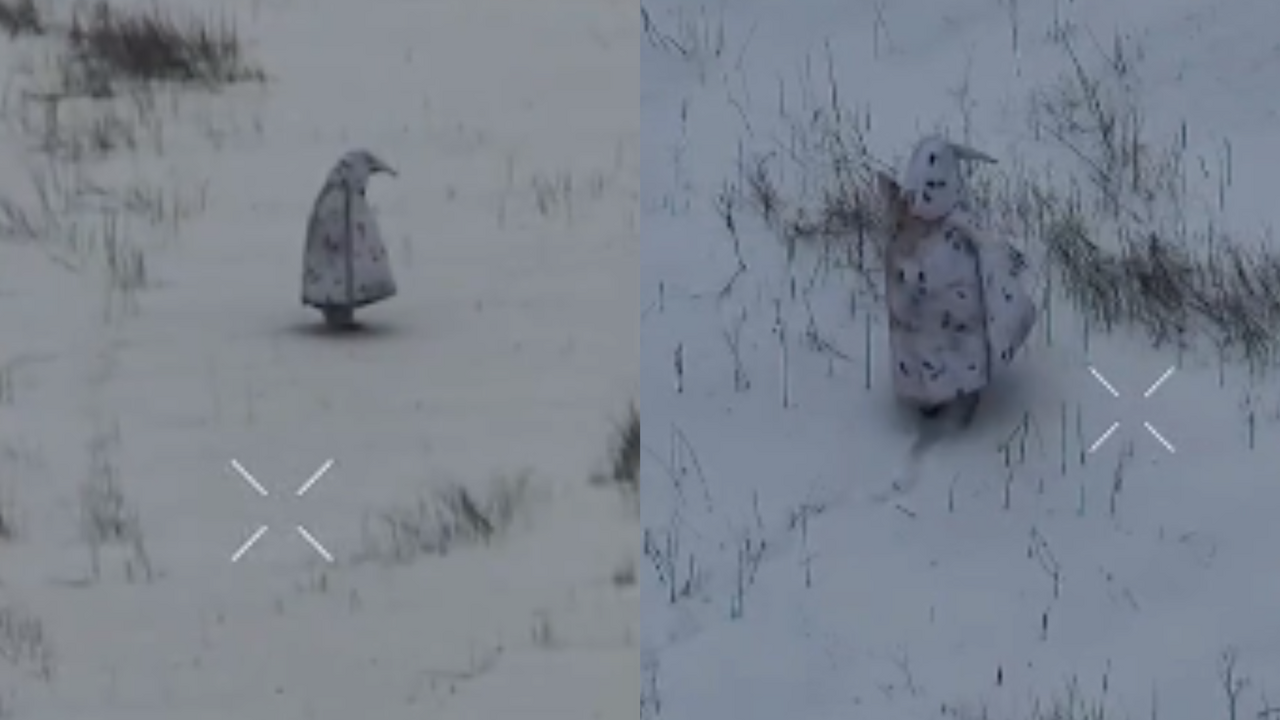 VIDEO: „Tučniak“ na fronte neuspel. Ruský vojak sa v bizarnom kostýme vtáka snažil oklamať drony, no trik mu nevyšiel