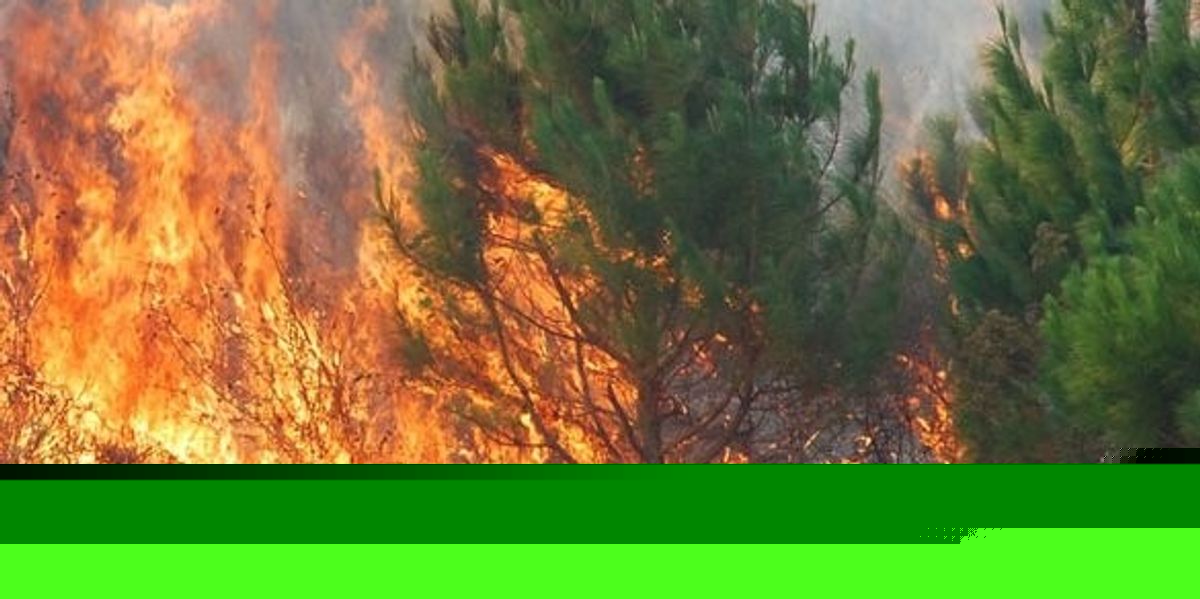 QMK: Nëntë zjarre në ambiente të hapura, pesë janë aktive