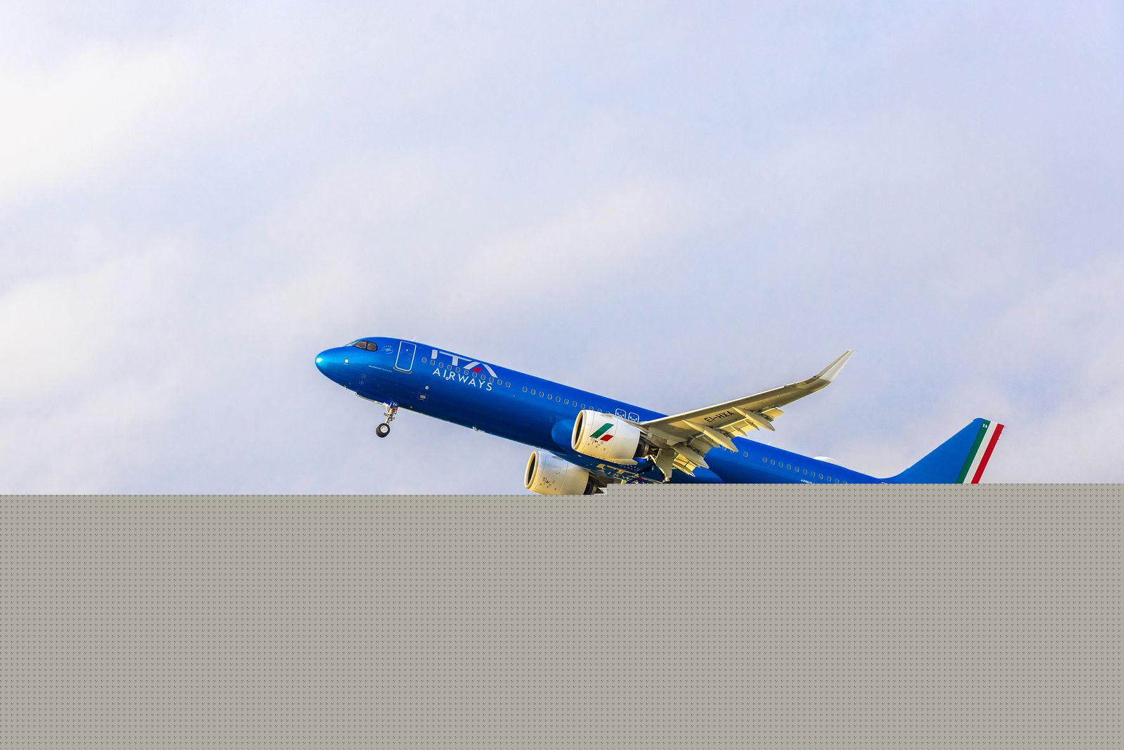 ITA Airways lässt große Hunde in die Business Class