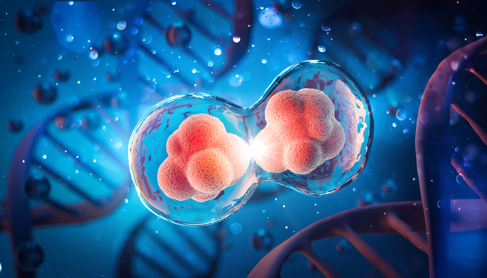 Cell division breakthrough reveals a hidden weakness in cancer cells