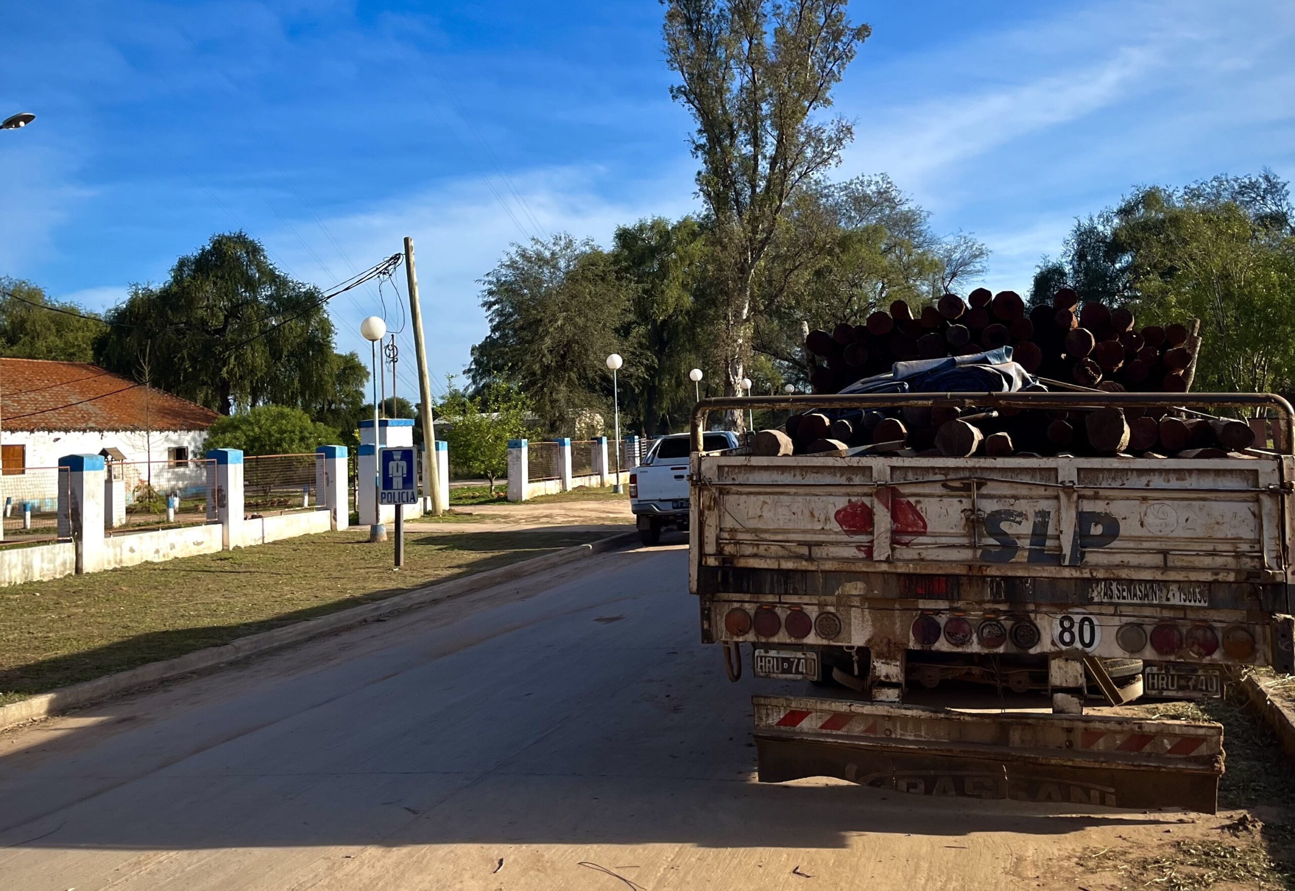 Milei’s budget cuts fuel deforestation fears in Argentina’s Chaco
