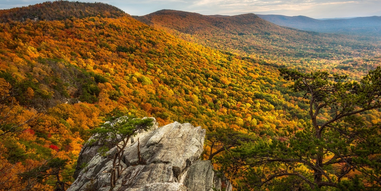 Time to listen for the call of fall at Alabama State Parks