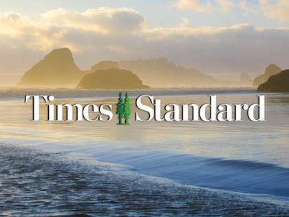 Sense and Sensitivity | Friend left out of job opportunity