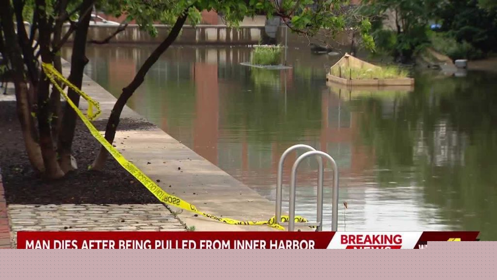 Parkville man charged in harbor death