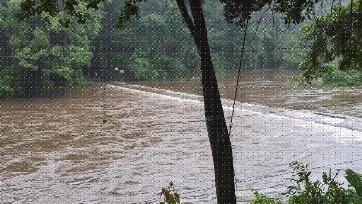 Rain eases, but swollen rivers keep flood-prone areas in Ernakulam district on alert