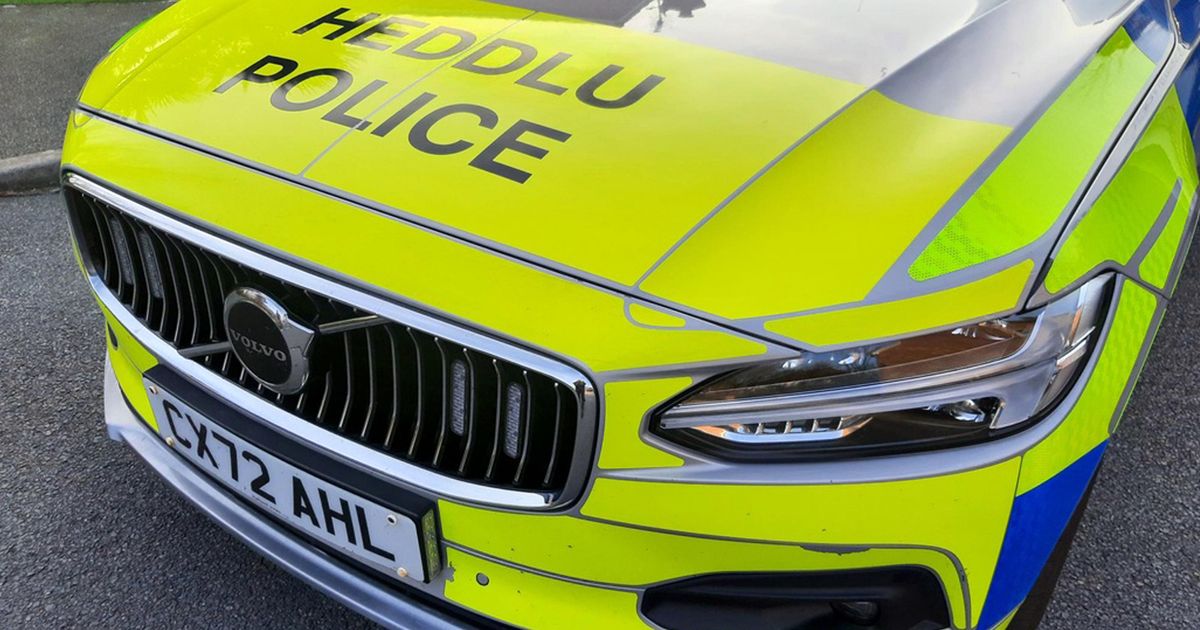 Pedestrian, 24, suffers 'serious' leg injuries in BMW collision