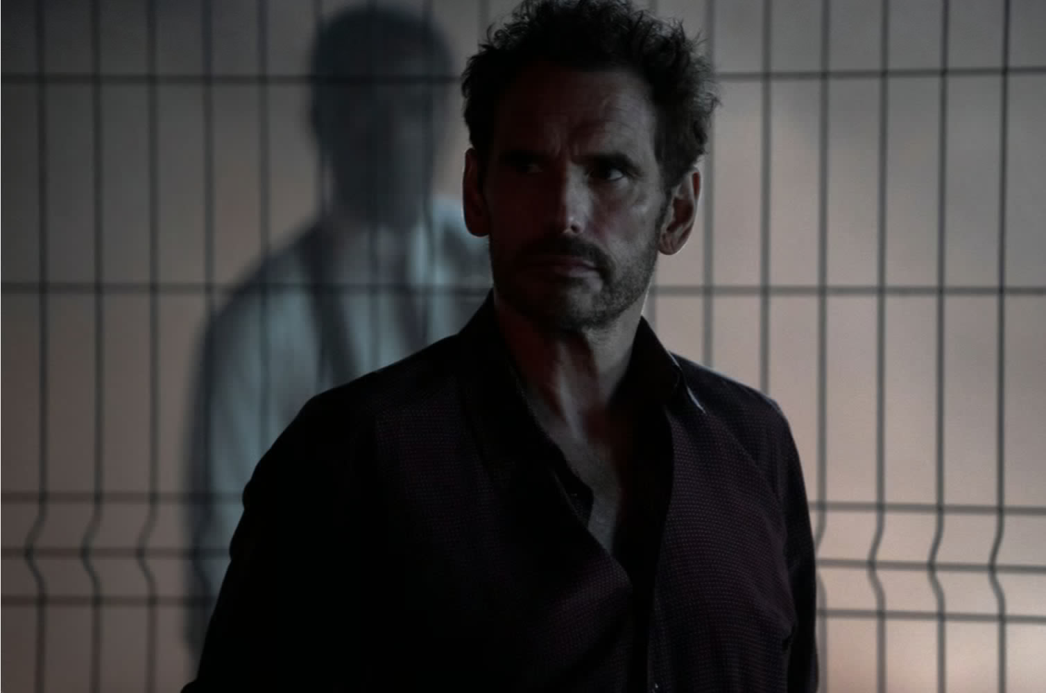 The Fence Review: Claire Denis Takes an Unnerving Stare Into Darkness