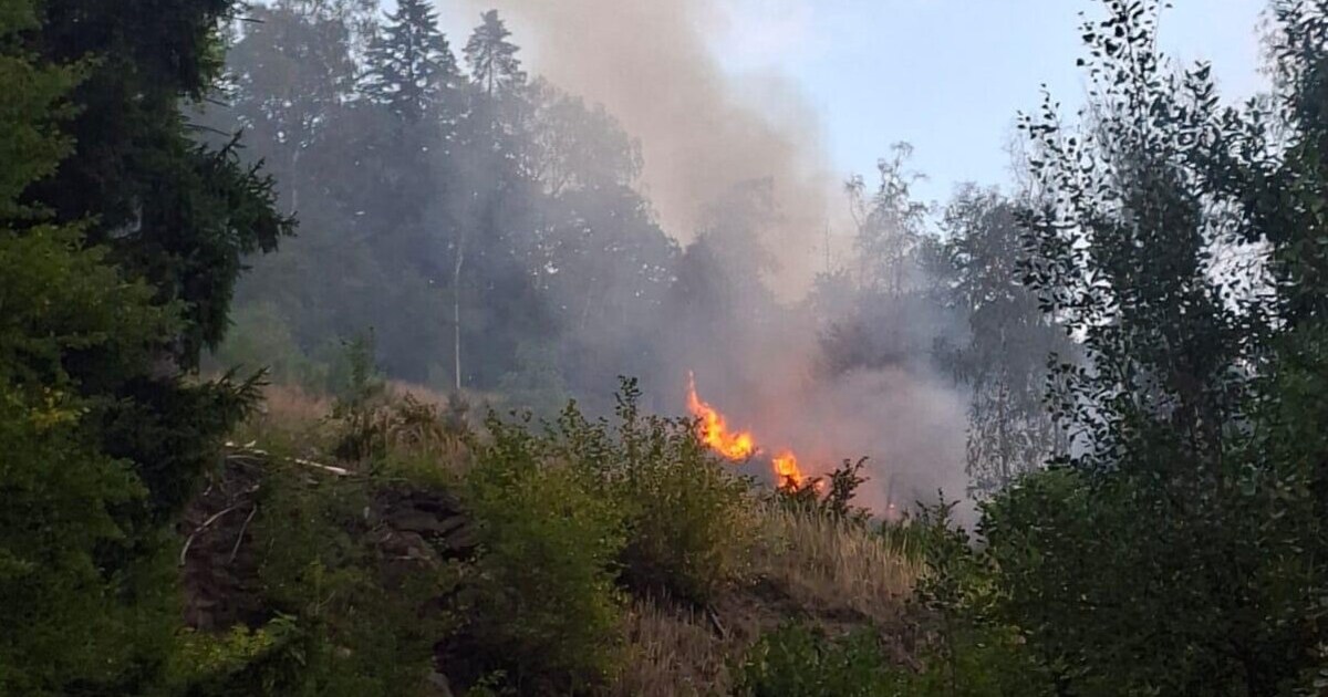 Fast 200 Einsatzkräfte - Waldbrände halten steirische Feuerwehren auf Trab