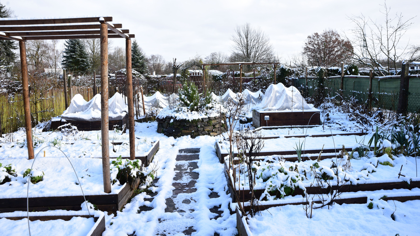 Lake Effect Snow: What To Know About Its Impact On Your Yard And Garden