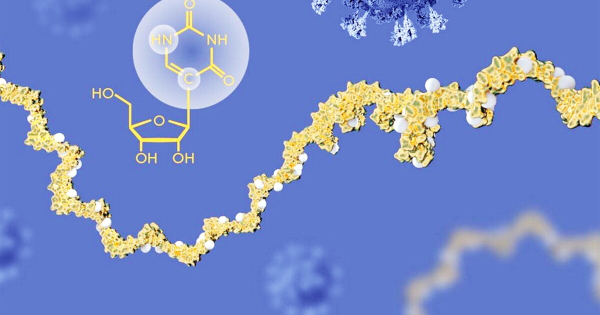 Un vaccino basato su mRNA potrebbe aiutare il sistema immunitario contro il cancro