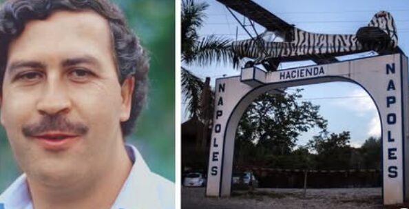 International News: Colombia gives part of infamous Escobar’s ranch to conflict victims