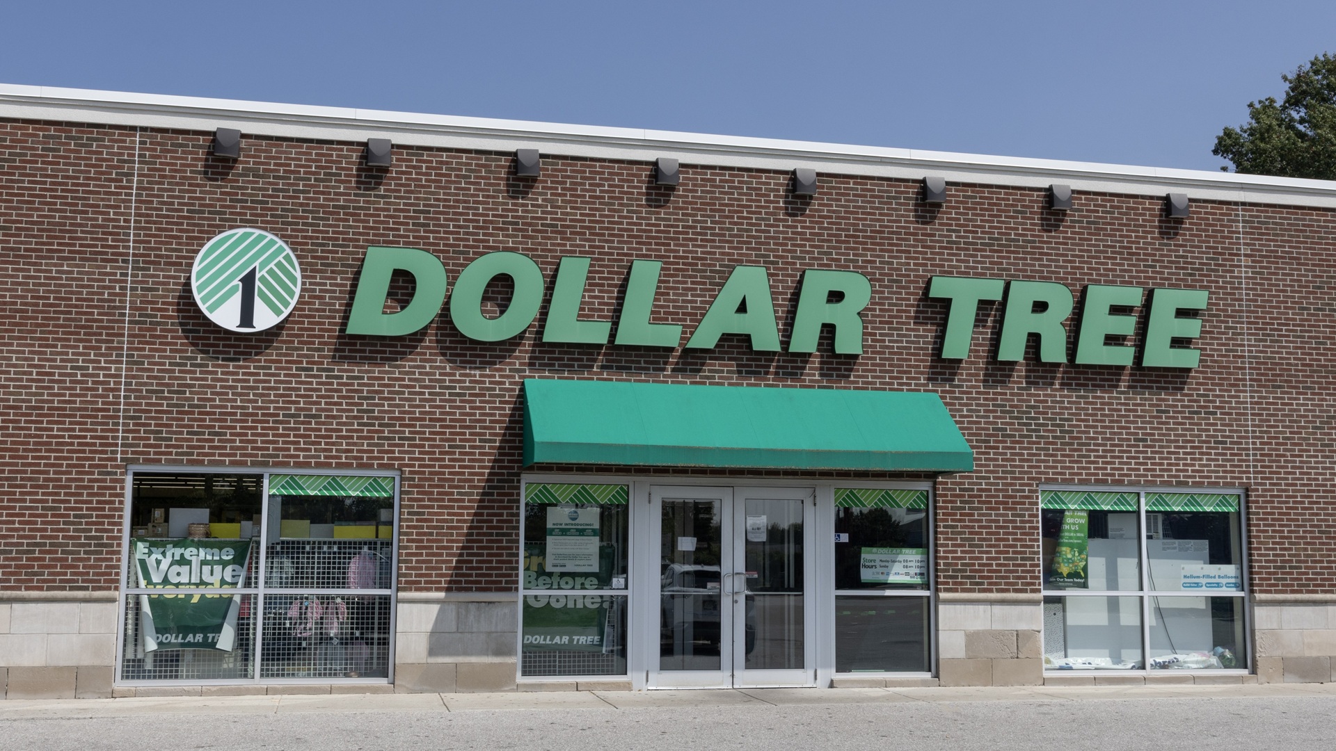 6 Dollar Tree Home Upgrades That Make Small Spaces Look Instantly Nicer