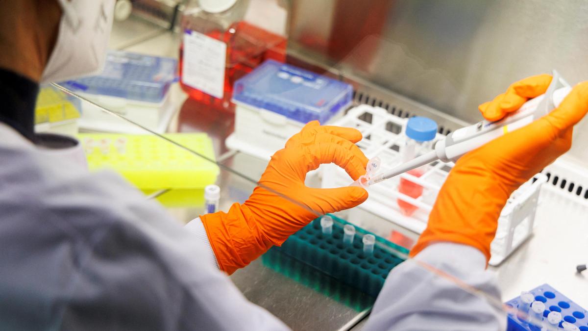 Nine test positive for KFD in Chikkamagaluru this month