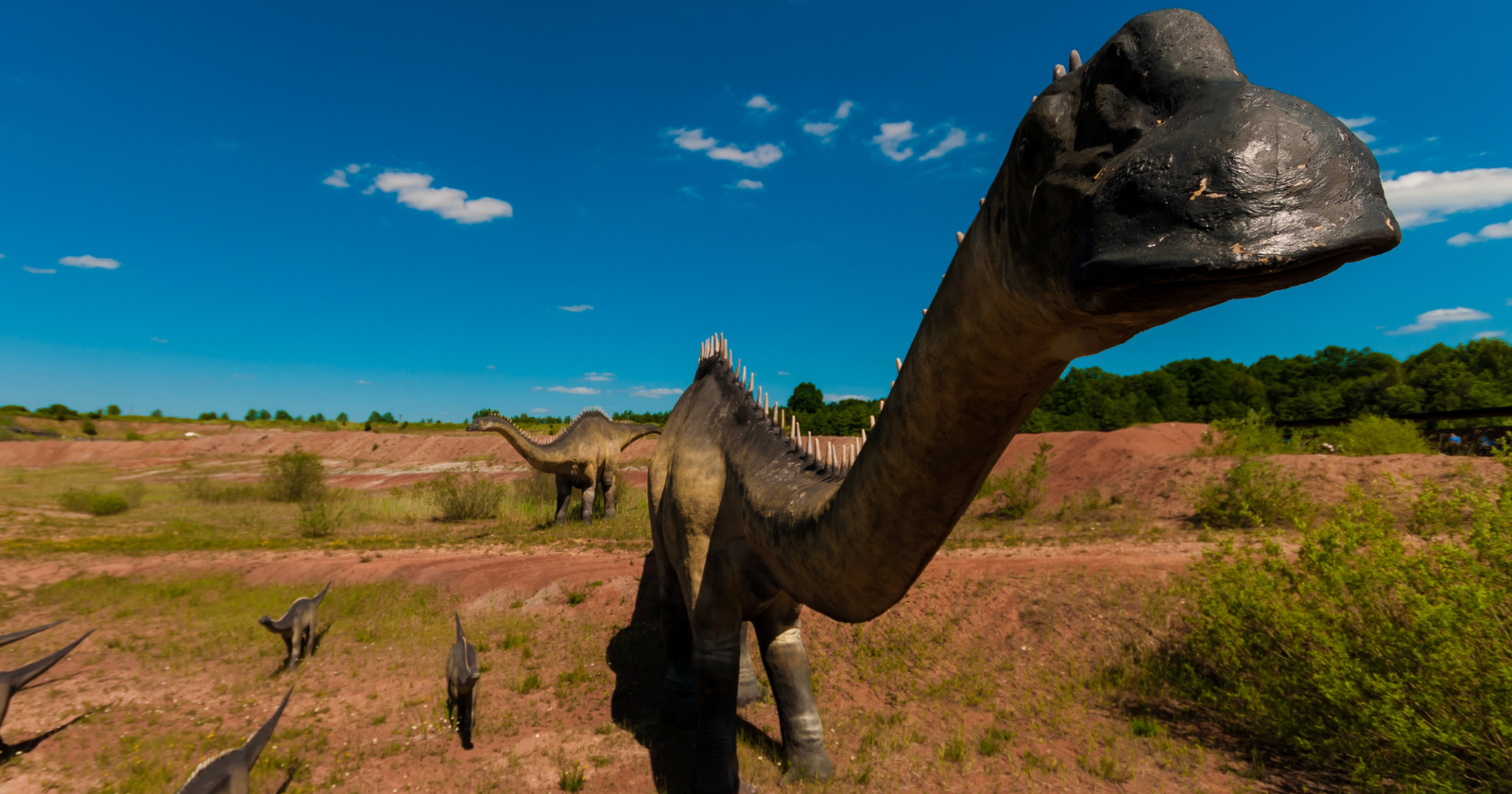 In 2016, someone walking past a drying pond in Thailand noticed a few strange rocks. Ten years later, those ‘rocks’ turned out to be a 27-metre, 27-tonne dinosaur, the largest ever found in Southeast Asia