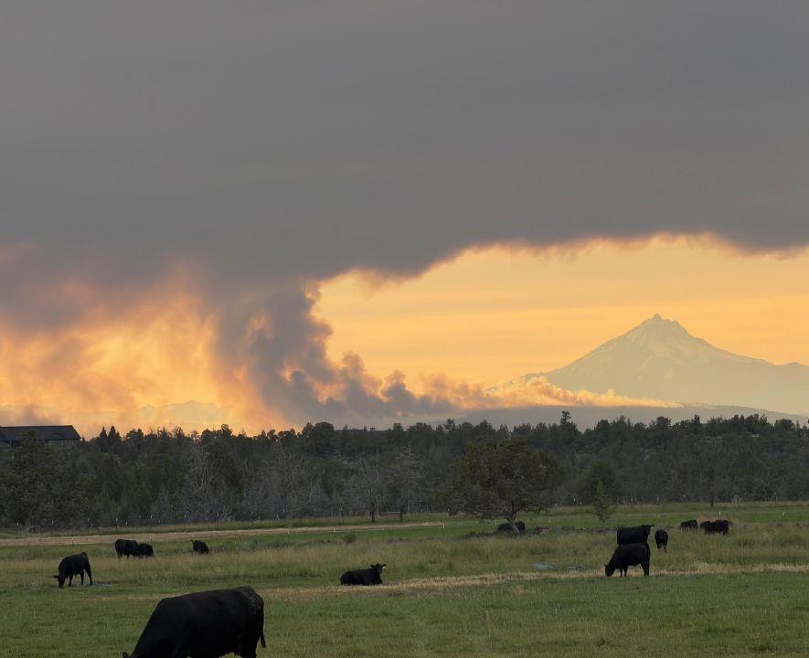 Gov. Kotek presses feds to get Oregon farmers, ranchers same urgent wildfire relief as red states