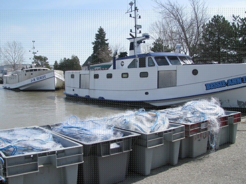 Food for Thought: Lake Erie-caught fish often overlooked as local food