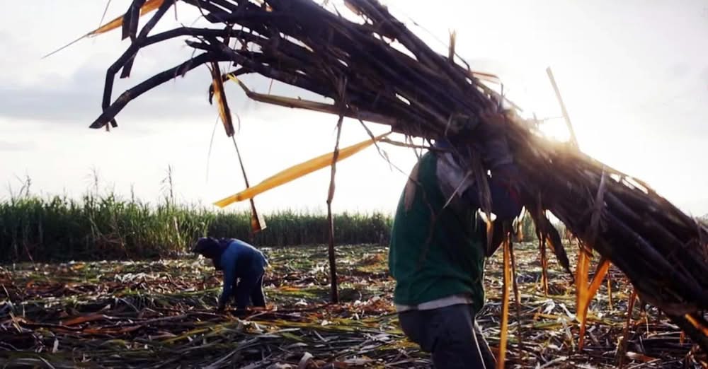 Striking warehouse workers in California connect struggle with Negros sugar workers