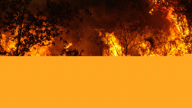 Widemouth 2 Fire Tops 84,000 Acres