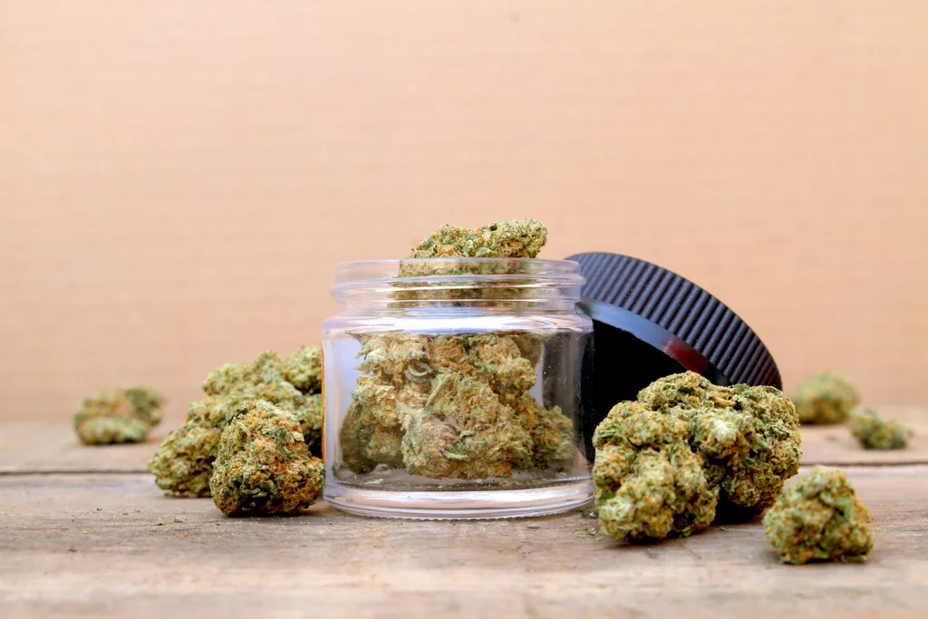 Study: Cannabis Use Common Among Medical Students Worldwide, With Rising Trends in Recent Years