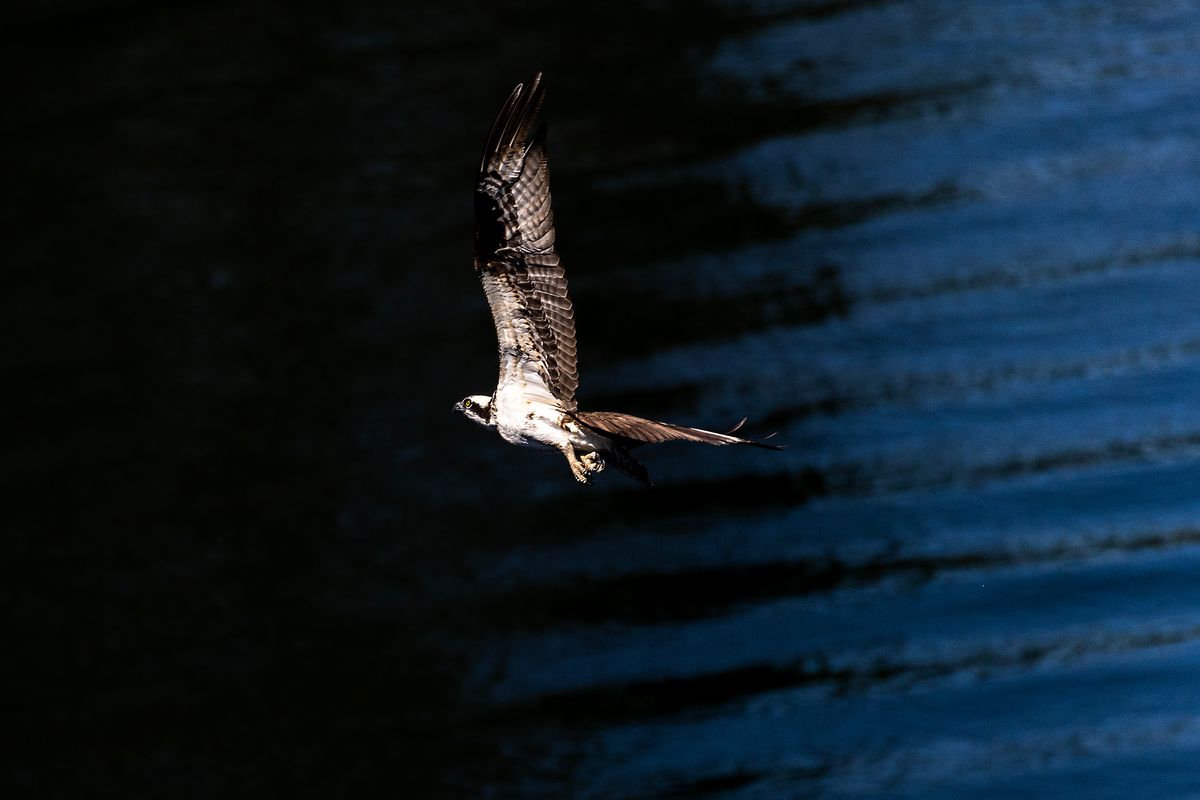 Into shadow
