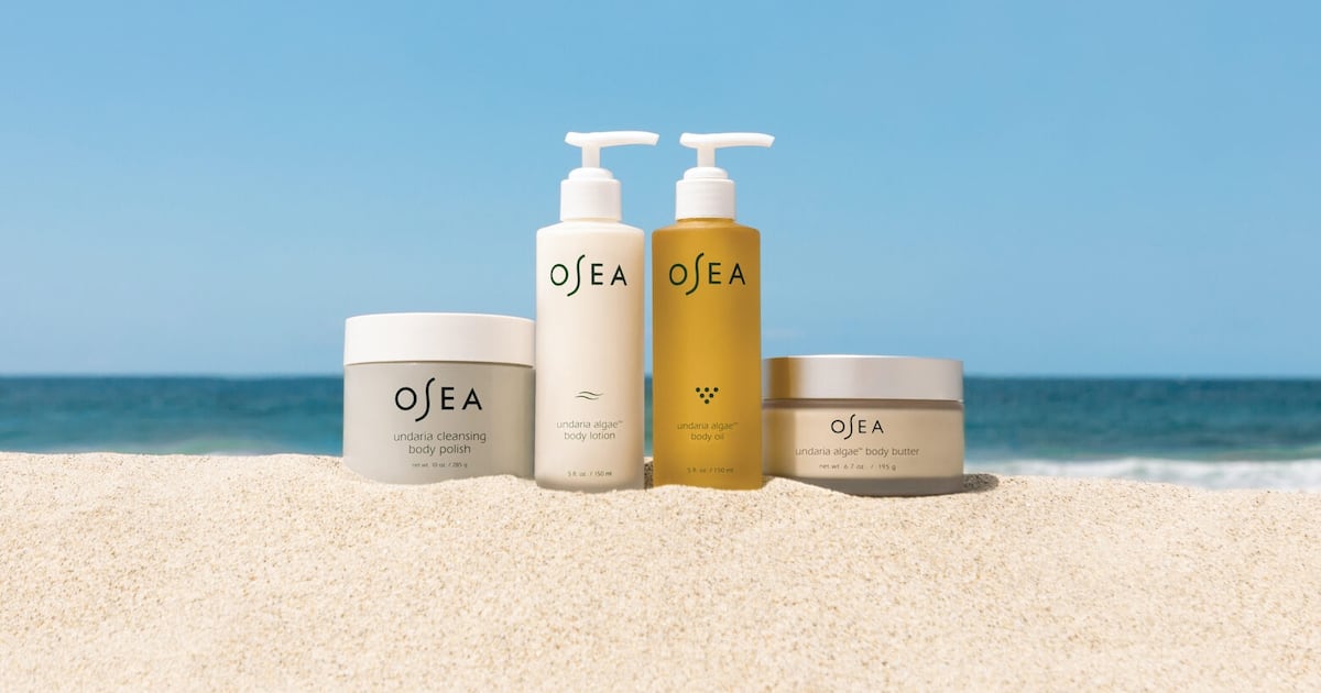 Osea Malibu Lands Investment From General Atlantic Partners