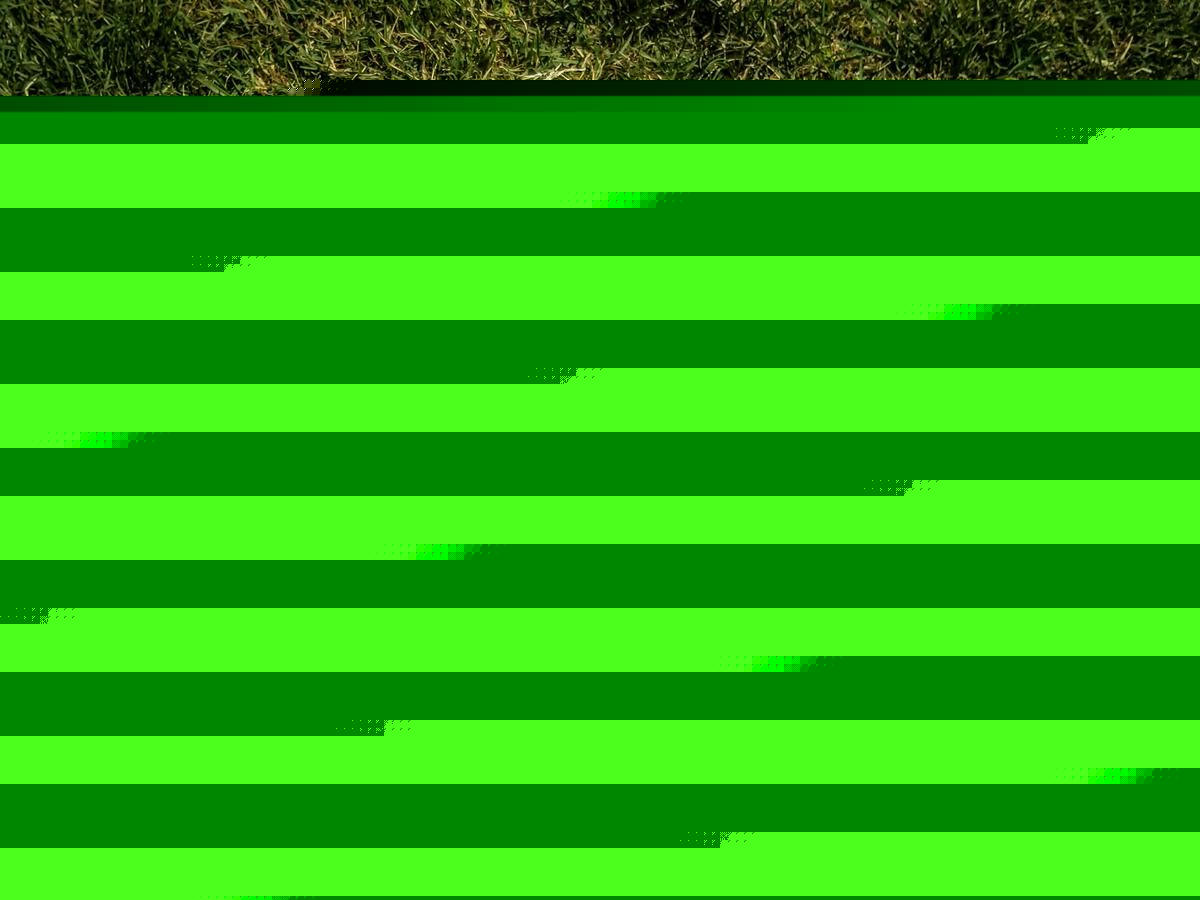 Town Ball Update – August 3rd, 2026