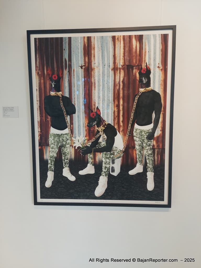 Comment on The Fresh Milk Art Platform Awards 4 Barbadian-Based Visual Arts Fellowships with Support from the Clara Lionel Foundation by Titus Schott