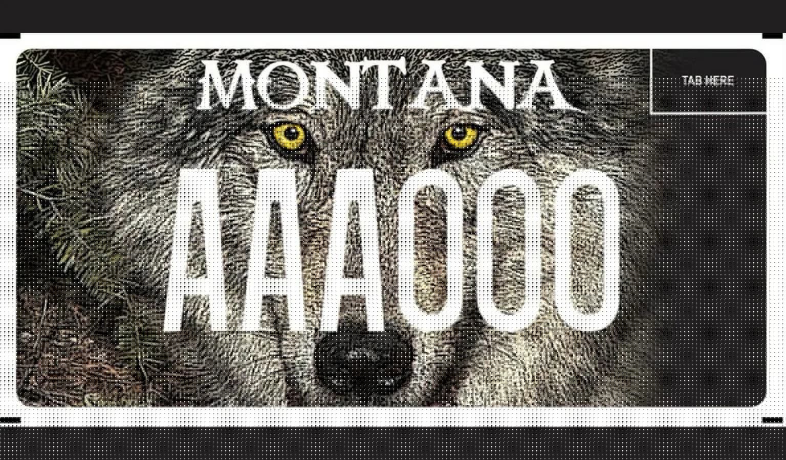 Move Over, Boring Standard Plates: Montana Just Got a Serious Upgrade