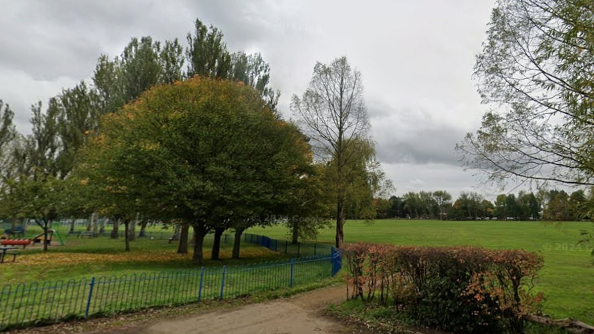 Toddler is rushed to hospital after being mauled by dog in London park - as owner fled