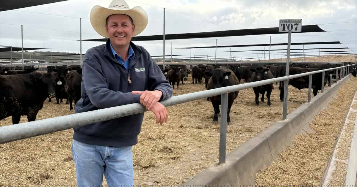 TFI unveils big plans for Southern Cross beef cattle feedlot expansion